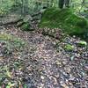 A rock berm on the Freeride Trail.