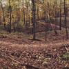 Intersection of Chinkapin and Paw Paw in the fall.