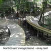 North Creek's Magic Island - entry/exit