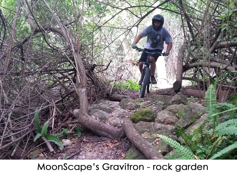 Roots and rocks about on the Gravitron loop of Moonscape.