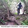 Roots and rocks about on the Gravitron loop of Moonscape.