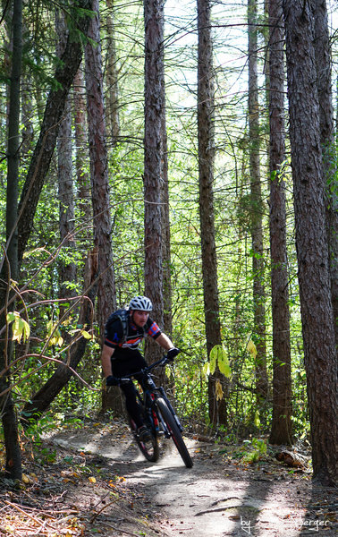 Shawn racing through the Pinery at Hubbard Hills during the Pertnear 20 2015 race