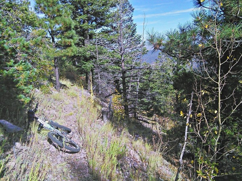 Upper section of the South Baldy Trail is steady gravelly ramp.