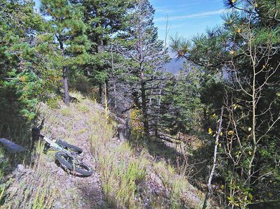 Upper section of the South Baldy Trail is steady gravelly ramp.