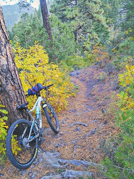 The lower section of South Baldy descends to the valley floor.