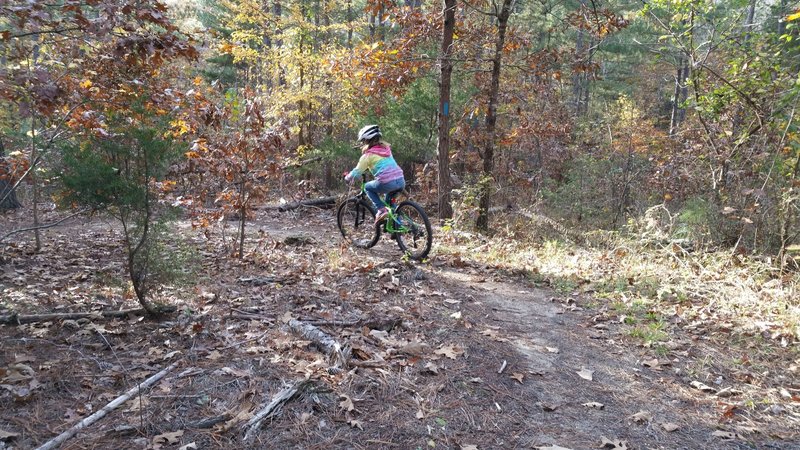 There she goes!  Notice the blue rectangle trail marker on the tree just behind and above my daughter.  Follow these markers to stay on the Earley Trail.