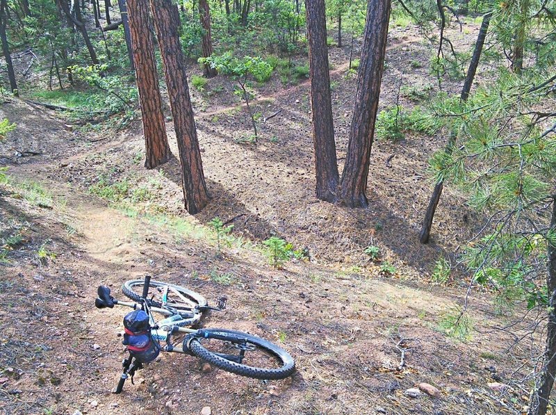 Approaching the intersection with the Strawberry Canyon trail.