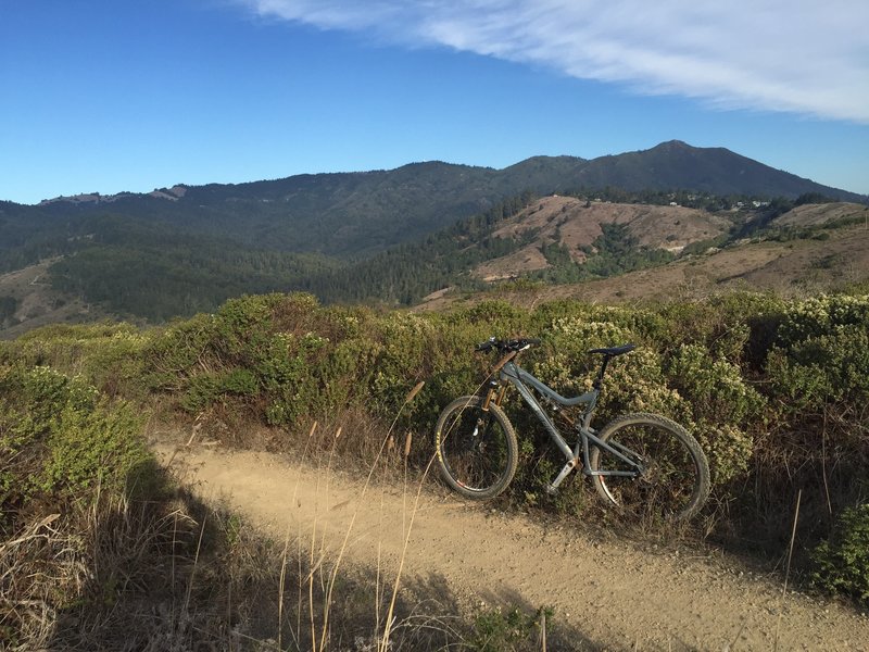 Great view of Mt. Tamalpais from the eastern end of Diaz Ridge.