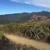 Great view of Mt. Tamalpais from the eastern end of Diaz Ridge.