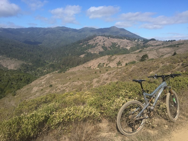 View looking north towards Mt. Tam on the right, and Muir woods in the bottom of the valley to the left from Diaz Ridge.