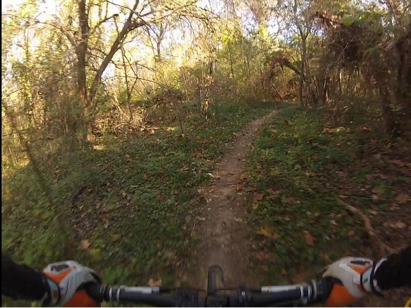 Fast, smooth, and flowy singe track at Riverbend.