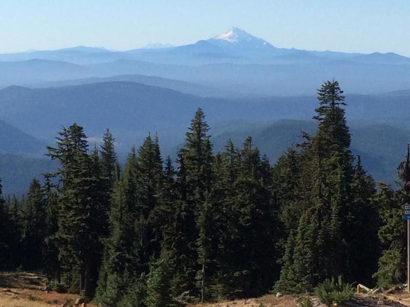The view from the Timberline trail towards Mt. Jefferson.  Photo by hproctor