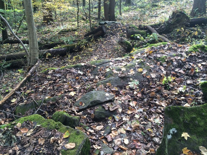 Slick, mossy rocks are the name of the game on the Freeride Loop.