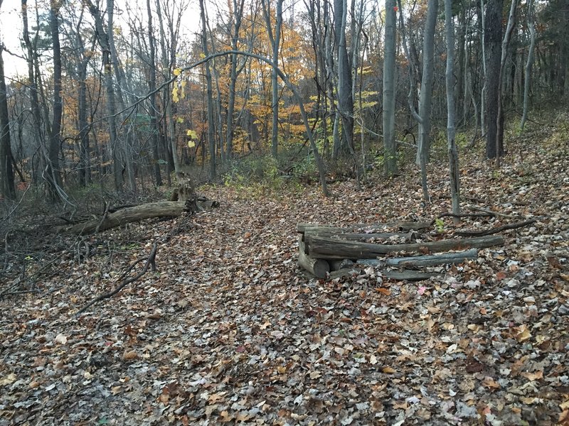 Log pile on the Hank's Trail.