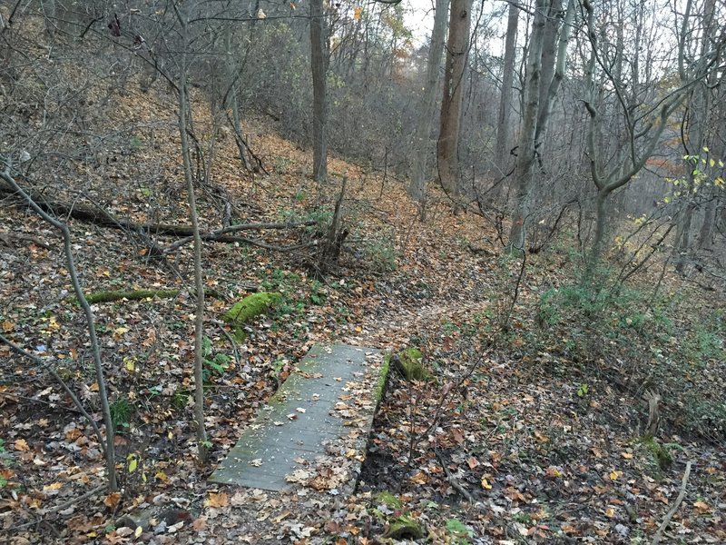 The largest of four bridges along Hank's Trail.