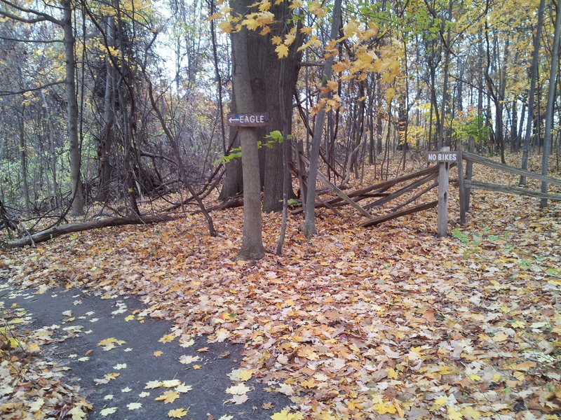 Bikers stay on Eagle.  Hikes can continue through the gate to Fort Hill.