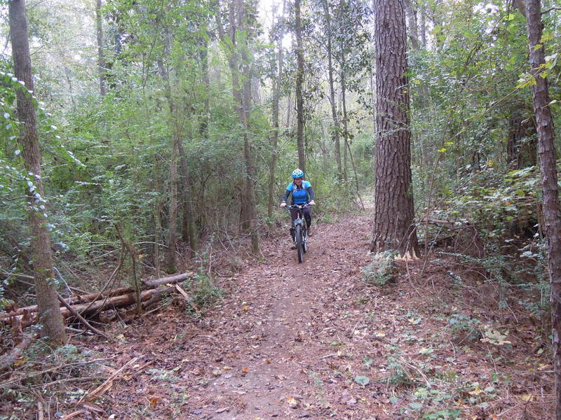 A great trail for family fun! Ideal for entry level riders and hard-tail mountain bikes.