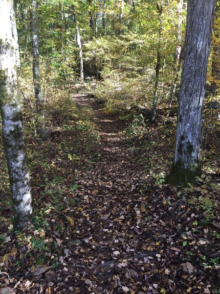 Fall on Mason's Bluff.