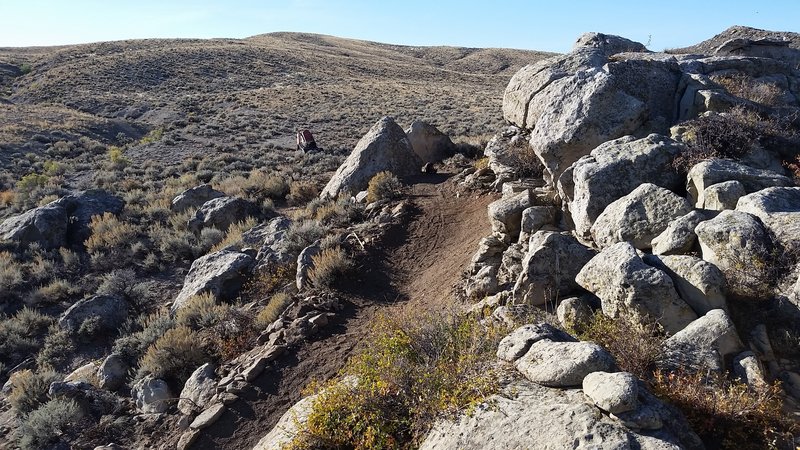 Just some of the many great rock lines on Prickly Pear.