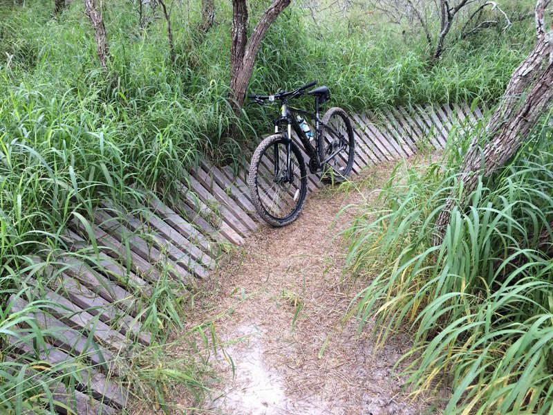 There are plenty of fun features at Oso Creek Park.