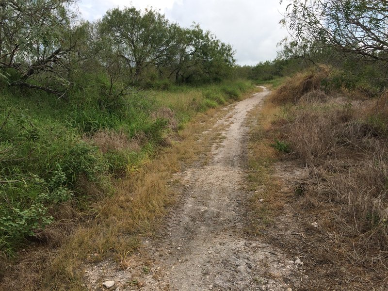 Watch out for sandy sections at Oso Creek Park.