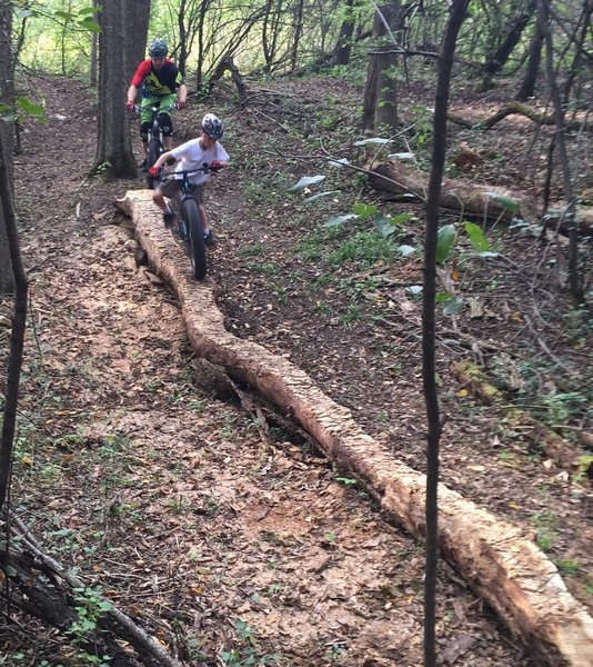 A new "B" section right after the creek crossing with an awesome Log Skinny!