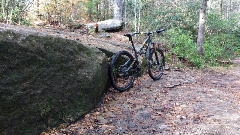 There are some tech features at the intersection of Cat Gap Loop trail sections and Butter Gap trail.