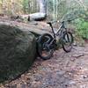 There are some tech features at the intersection of Cat Gap Loop trail sections and Butter Gap trail.