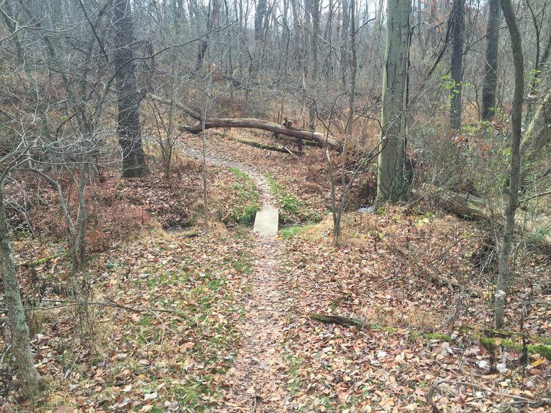 Creek trail bridge at White Oak Park.