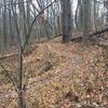 Twisty section of the Creek Trail at White Oak Park.