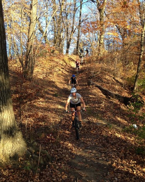 Dropping down the waterbars before turning south on the Sunbridge Hills.  The top end of the log on the right is the turnoff for the bypass that avoids the STEEP downhill where I stood while taking this picture.  It is also the route up when riding in reverse.