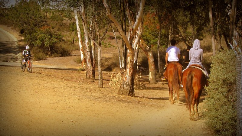 The Marshall Canyon Trail is shared with horseback riders.