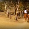 The Marshall Canyon Trail is shared with horseback riders.