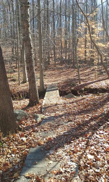 Nice bridge over the Swabia Creek on the White Trail.