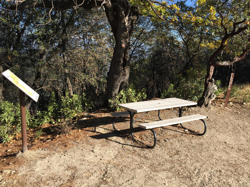 The Mule Trailhead features a map and a bench to rest on.