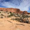 Beautiful views from the Navajo Rocks Chaco Loop.