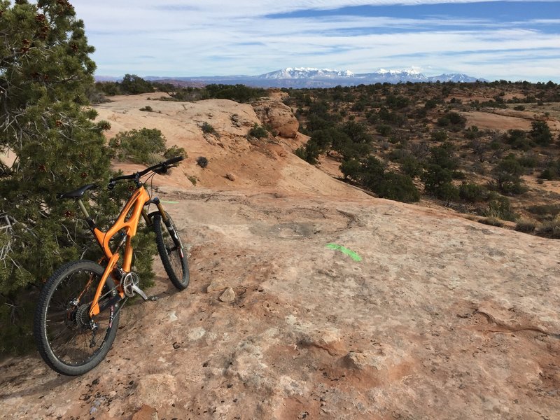 The La Sals look great from the Big Lonely trail.