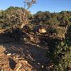 Sunset singletrack on Alan's Alley.