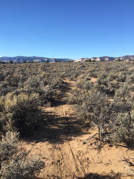 Solis Way sage field.