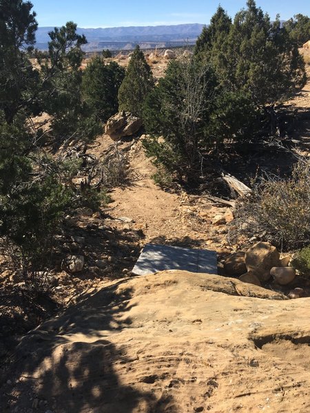 The end of the Dead Dog Loop leads to a steep drop-off onto a wooden ramp. Be careful here.