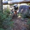 It's a jungle out there on the Meek Lake Trail!