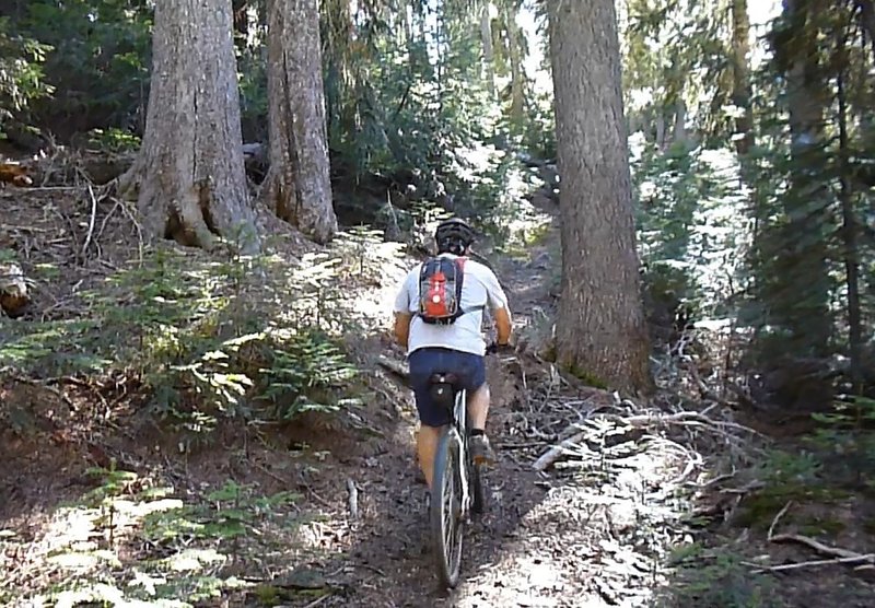 Hmm, this section of the Meek Lake Trail might be more fun coming down!