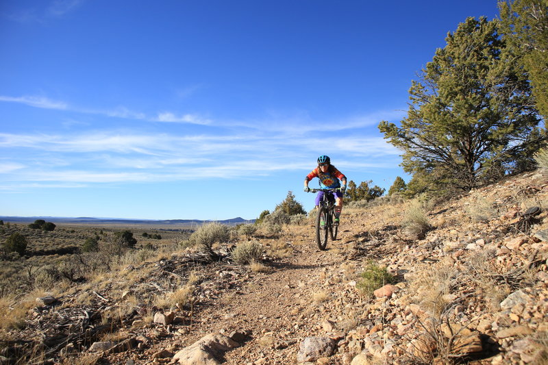 Enjoying a warm November afternoon below the snowcapped peaks on the Floodplain Trail.