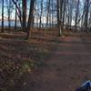View of the water from the Horse Trails.