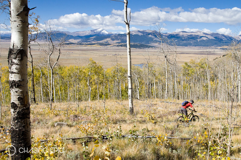 Fall is such a magical time of year to ride Kenosha Pass... this was taken JUST after peak, once most of the aspens dropped their leaves.