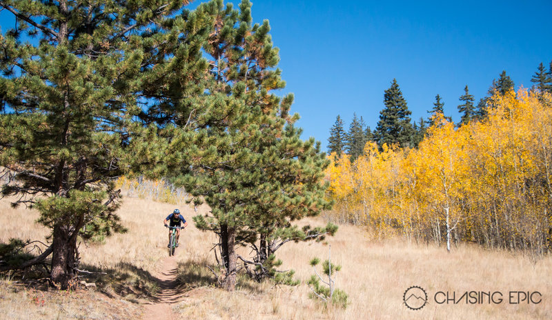 Just another awesome section of downhill on the east side of Kenosha Pass.