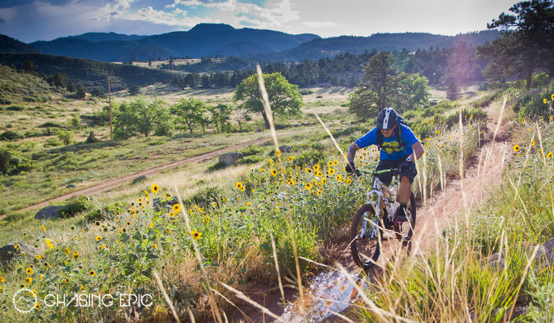 Hall Ranch at sunset... some of the best riding on the Front Range.