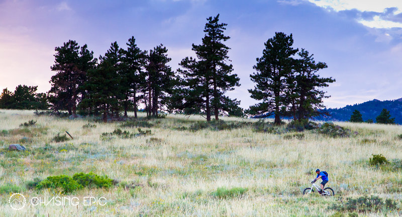 Not much sunlight left on the Nelson Loop at Hall Ranch.