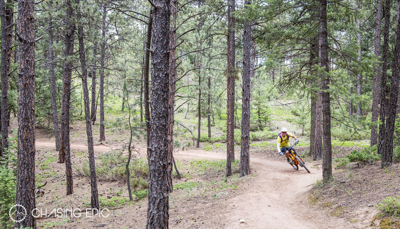 Riding on Buffalo Burn, just before meeting up with the Colorado Trail.