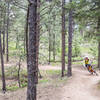 Riding on Buffalo Burn, just before meeting up with the Colorado Trail.